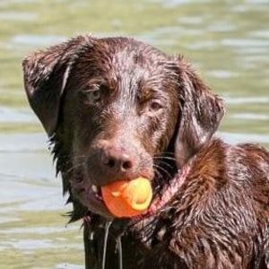 Meet your Posher, Terri